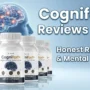 Cognifort+